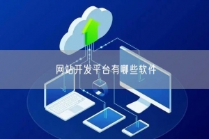网站开发平台有哪些软件